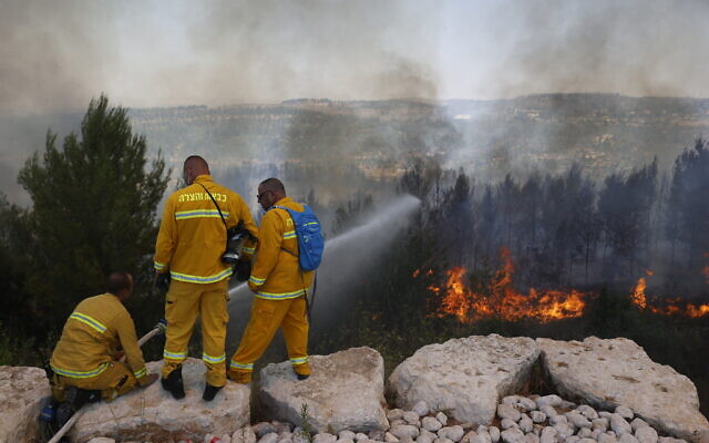 Firefighters try to extinguish a fire which broke out in a forest near Shoresh, outside of Jerusalem, August 3, 2021. (Yonatan Sindel/FLASH90)