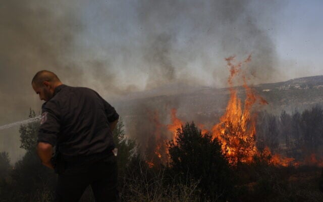 Firefighters try to extinguish a fire which broke out in a forest near Shoresh, outside of Jerusalem, August 3, 2021. (Yonatan Sindel/FLASH90)