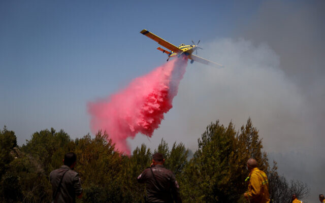 Firefighters try to extinguish a fire which broke out in a forest near Shoresh, outside of Jerusalem, August 3, 2021. (Yonatan Sindel/FLASH90)