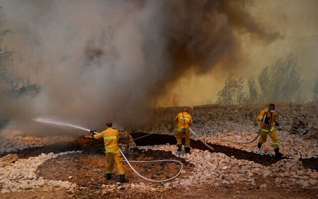 Firefighters try to extinguish a fire which broke out in a forest near Shoresh, outside of Jerusalem, August 3, 2021. (Yonatan Sindel/FLASH90)