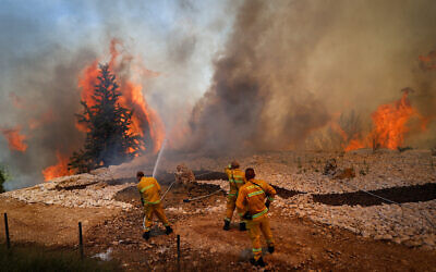 Firefighters try to extinguish a fire which broke out in a forest near Shoresh, outside of Jerusalem, on August 3, 2021. (Yonatan Sindel/Flash90)