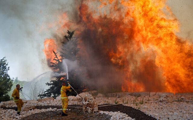 Firefighters try to extinguish a fire which broke out in a forest near Shoresh, outside of Jerusalem, August 3, 2021. (Yonatan Sindel/FLASH90)