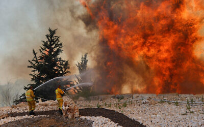 Firefighters try to extinguish a fire that broke out in a forest near Shoresh, outside of Jerusalem, August 3, 2021. (Yonatan Sindel/Flash90)