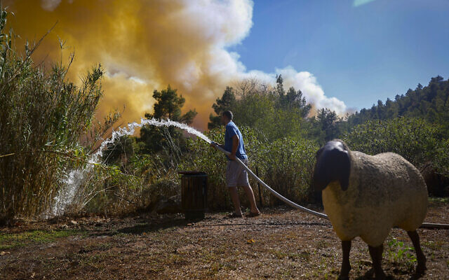 An Israeli tries to extinguish a forest fire west of Jerusalem, August 15, 2021. (Yonatan Sindel/Flash90)