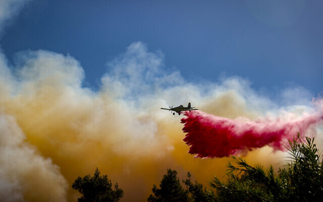 Firefighters try to extinguish a blaze which broke out in a forest near near Beit Meir, outside of Jerusalem on  August 15, 2021. (Yonatan Sindel/Flash90)