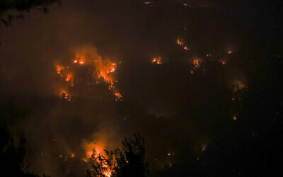 A wildfire in a forest near Beit Meir, outside of Jerusalem, on August 15, 2021. (Yonatan Sindel/Flash90)