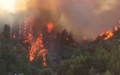 Screen capture from video of a forest fire near the northern border city of Kiryat Shmona, on August 12, 2021. (Twitter)