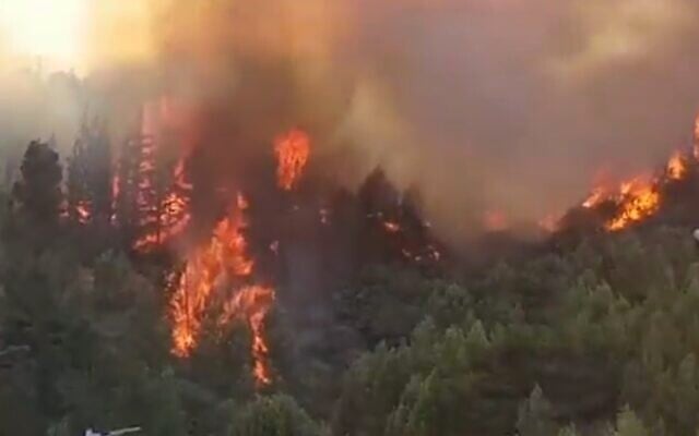 Screen capture from video of a forest fire near the northern border city of Kiryat Shmona, on August 12, 2021. (Twitter) Screen capture from video of a forest fire near the northern border city of Kiryat Shmona, on August 12, 2021. (Twitter)