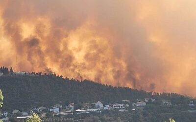 A brush fire west of Jerusalem, August 15, 2021. (Ariel Kedem/Israel Nature and Parks Authority)