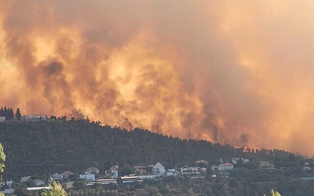 A brush fire west of Jerusalem, August 15, 2021. (Ariel Kedem/Israel Nature and Parks Authority)
