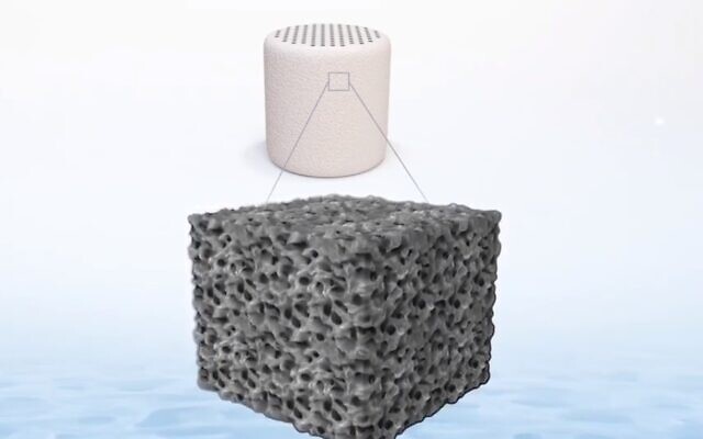 CartiHeal's Agili-C implant is made of aragonite, a form of calcium carbonite. (Screenshot)