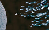 Illustration of humam sperm (vchal via iStock by Getty Images)
