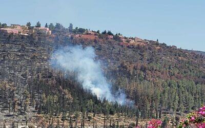 A small fire near Givat Ye'arim, outside Jerusalem, August 19, 2021 (Courtesy)