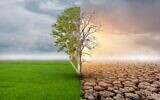 Illustrative: Global warming. (Chonticha Wat; iStock by Getty Images)