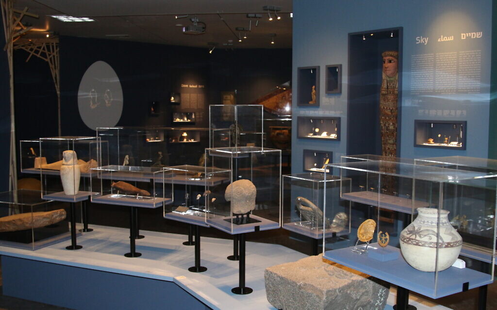 The 'Sky' section of the Bible Lands Museum's 'Early Birds' exhibit. (Shmuel Bar-Am)