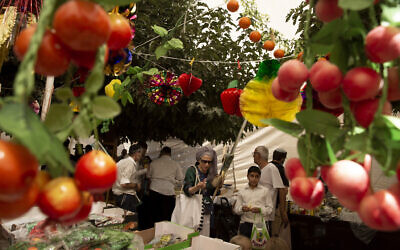 People shop for items to be used in rituals of the Jewish Sukkot holiday in Jerusalem, Sept. 20, 2021 (AP Photo/Maya Alleruzzo)