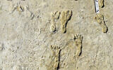 This undated photo made available by the National Park Service in September 2021 shows fossilized human footprints at the White Sands National Park in New Mexico. (NPS via AP)