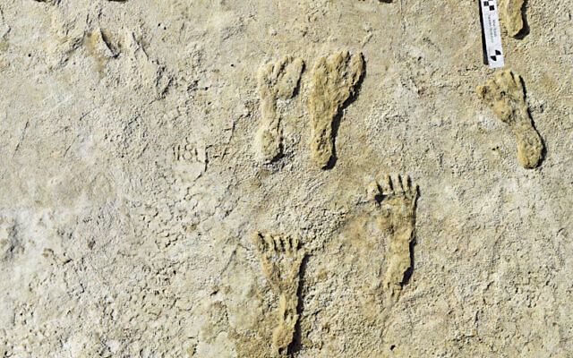 New Mexico footprints show humans walked in North America some