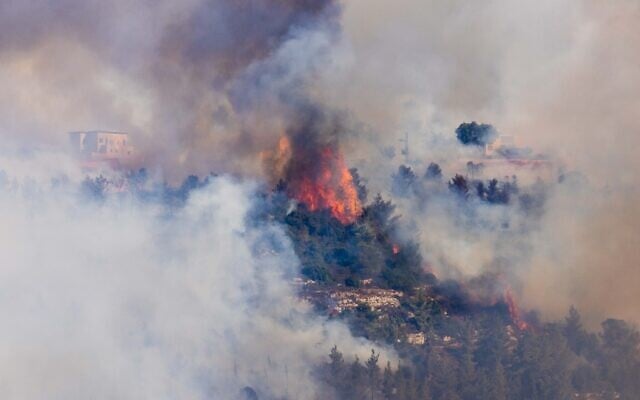 A forest fire near Givat Ye'arim, on August 16, 2021. (Yonatan Sindel/Flash90)