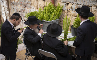 Ultra-Orthodox Jewish men examine a myrtle branches in Mea Shearim in Jerusalem on September 19, 2021 (Olivier Fitoussi/Flash90)