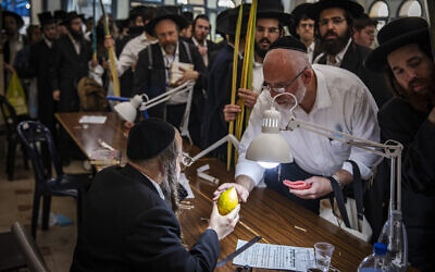 Ultra-Orthodox men examine citrons, known as an etrog in Jerusalem, on September 19, 2021, before Sukkot (Olivier Fitoussi/Flash90)