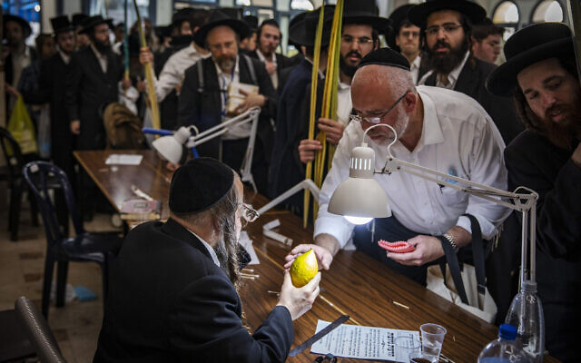 Ultra-Orthodox men examine citrons, known as an etrog in Jerusalem, on September 19, 2021, before Sukkot (Olivier Fitoussi/Flash90) Ultra-Orthodox men examine citrons, known as an etrog in Jerusalem, on September 19, 2021, before Sukkot (Olivier Fitoussi/Flash90)