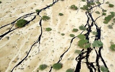 Crude oil fanned out into the streambeds at the Evrona Nature Reserve following a leak from a pipe on December 3, 2014. (Environmental Protection Ministry spokesperson/Roi Talbi)