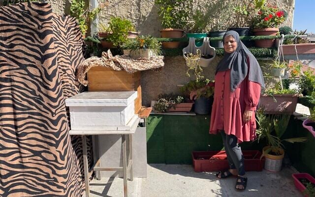 Zahia Abu-Armeilah with her beehive in East Jerusalem's Abu Tor neighborhood. (Sue Surkes/Times of Israel)