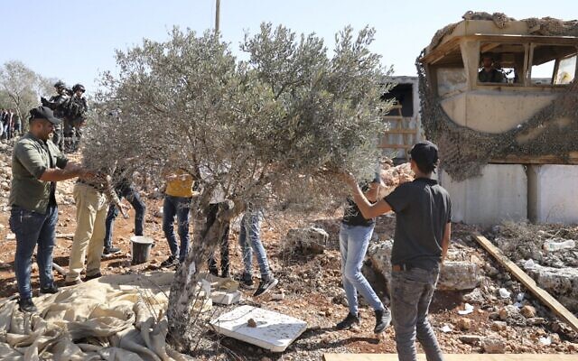 Illustrative: An Israeli soldier (Top-R) looks on as Palestinian and foreign volunteers and activists pick olives next to the outpost of Evyatar in in the West Bank, on October 10, 2021. (JAAFAR ASHTIYEH / AFP) Illustrative: An Israeli soldier (Top-R) looks on as Palestinian and foreign volunteers and activists pick olives next to the outpost of Evyatar in in the West Bank, on October 10, 2021. (JAAFAR ASHTIYEH / AFP)