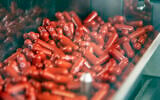 This undated image provided by Merck & Co. shows its new antiviral medication (Merck & Co. via AP)