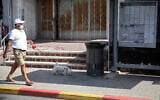 An Israeli man walks a dog near a trashcan installed next to a bus stop that applauds to those who use it, in Jerusalem, Thursday, Oct. 14, 2021. (AP Photo/Sebastian Scheiner)