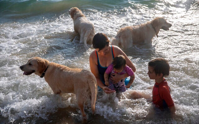 An Israeli family enjoy the day on a dog friendly beach in Tel Aviv, Israel,  July 10, 2021. (AP Photo/Oded Balilty)