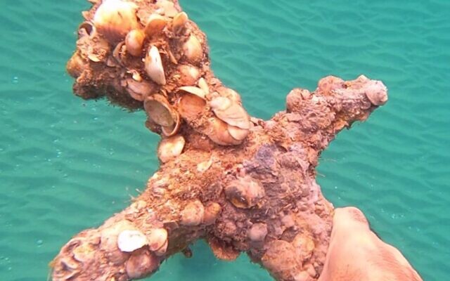 The encrusted hilt of a Crusader sword found by diver Shlomi Katzin on the Mediterranean seabed (Shlomi Katzin)