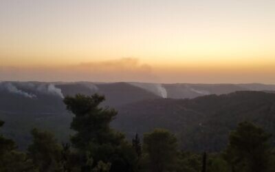 Fires are seen in the Begin Park near Beit Shemesh, October 8, 2021. (Fire and Rescue Services)