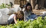 Illustrative: Students explore local sustainable agriculture as part of a long-running semester academic program at the Arava Institute for Environmental Studies. (Marcos Schoenholz)