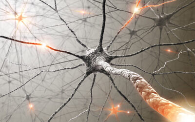 Illustrative image: nerve cells. Technion scientists report that they have slowed tumour growth in mice by attacking nerve cells. (ktsimage via iStock by Getty Images)