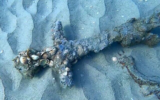 A Crusader sword found by diver Shlomi Katzin on the Mediterranean seabed (Shlomi Katzin)