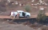 Israeli settlers are seen surrounding an IDF vehicle near the settlement of Adei Ad, October 13, 2021. (Video screenshot/courtesy)