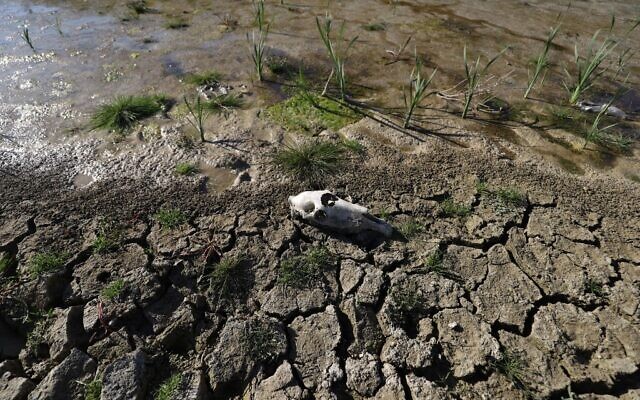 A picture shows drought around the Duwaysat dam outside the town of al-Diriyah in Syria's northern Idlib province on November 9, 2021. (Photo by Abdulaziz KETAZ / AFP) A picture shows drought around the Duwaysat dam outside the town of al-Diriyah in Syria's northern Idlib province on November 9, 2021. (Photo by Abdulaziz KETAZ / AFP)