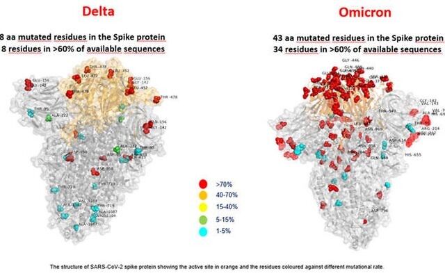 A first image of the Omicron variant, compared to the Delta variant, made by the Bambino Gesù Hospital in Rome, November 2021 (AFP) A first image of the Omicron variant, compared to the Delta variant, made by the Bambino Gesù Hospital in Rome, November 2021 (AFP)