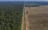 Highway BR-163 stretches between the Tapajos National Forest, left, and a soy field in Belterra, Para state, Brazil, November 25, 2019. (Leo Correa/AP)