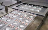 File: Pfizer's experimental COVID-19 pills, which the drugmaker said on November 16, 2021 that it is submitting for US authorization, setting the stage for a likely launch in coming weeks. (Pfizer via AP)