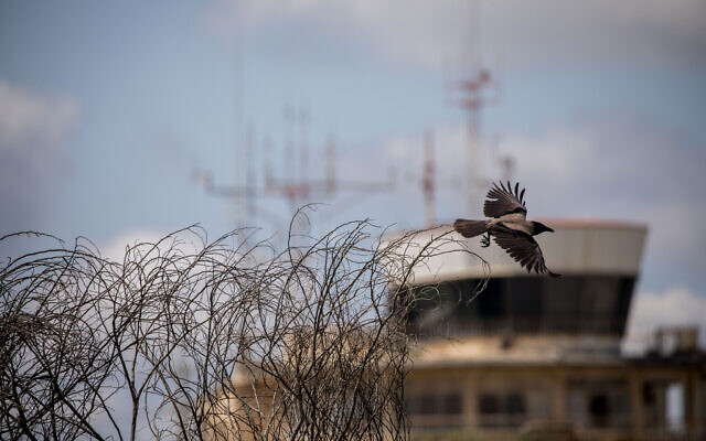 A bird flies past the abandoned Atarot Airport terminal building (Yonatan Sindel/Flash90) A bird flies past the abandoned Atarot Airport terminal building (Yonatan Sindel/Flash90)