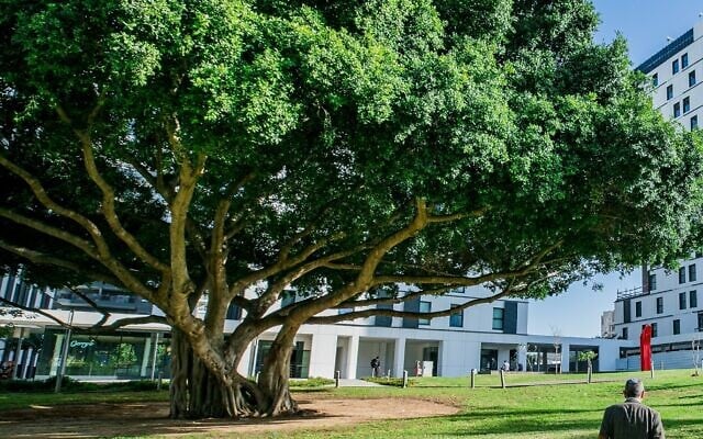 Reichman University Campus (courtesy) Reichman University Campus (courtesy)