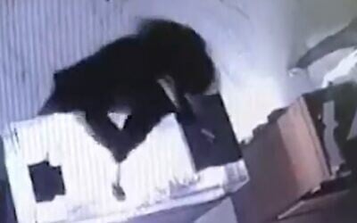 Robber smashes a case at a jewelry store in Haifa, October 2021 (Screen grab/Channel 13 news)