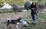 An Iranian woman walks her dog in a park in the capital Tehran on December 7, 2021. (Atta Kenare/AFP)