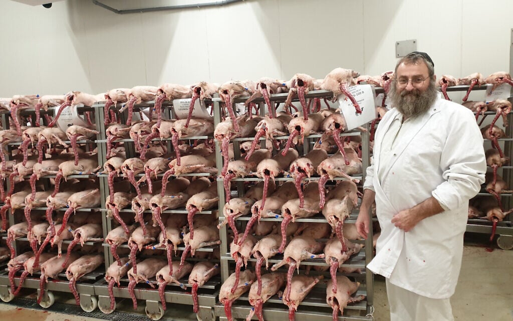 Rabbi Jacob Werchow presents geese slaughtered by his team in Csengele, Hungary on September 29, 2021. (Cnaan Liphshiz/ JTA) Rabbi Jacob Werchow presents geese slaughtered by his team in Csengele, Hungary on September 29, 2021. (Cnaan Liphshiz/ JTA)