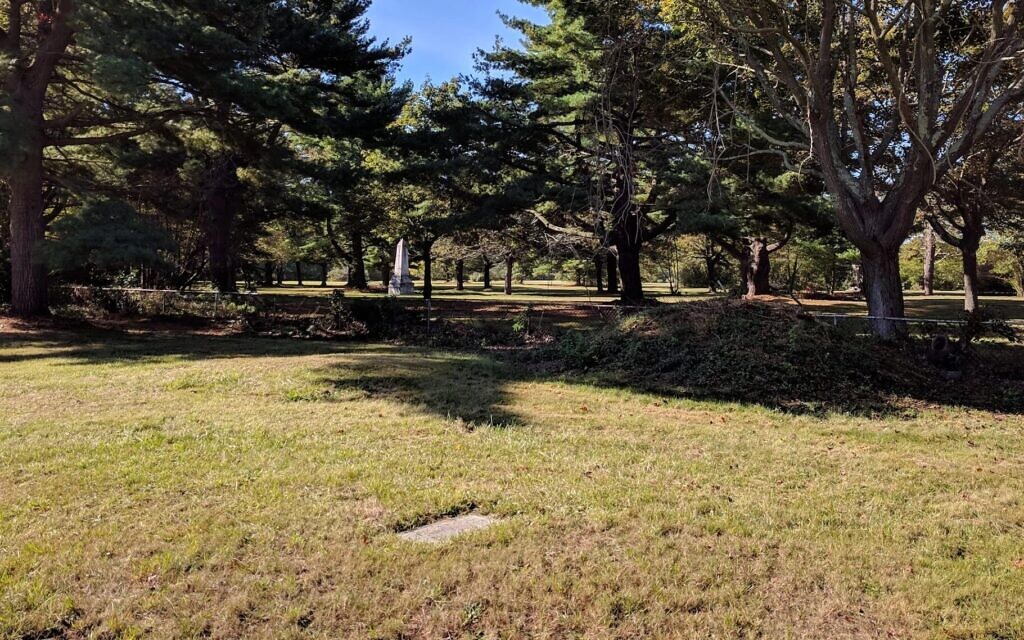 The Jewish cemetery at the former Central Islip Psychiatric Center on Long Island includes small stones, many engraved only with numbers, marking the graves of many of the 500 Jewish patients buried there. (Patricia Desrochers/Touro Law Center/ via JTA)