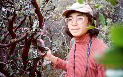 Ava Sayaka Rosen is the artist behind the 'TARO::TORA' tarot deck. (Ava Sakaya Rosen/ via JTA)
