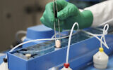 Image provided by Pfizer in October 2021 shows the company's COVID-19 Paxlovid pills. (Pfizer via AP)